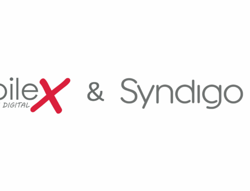 abilex & Syndigo – Neue Partnerschaft für MDM und PIM