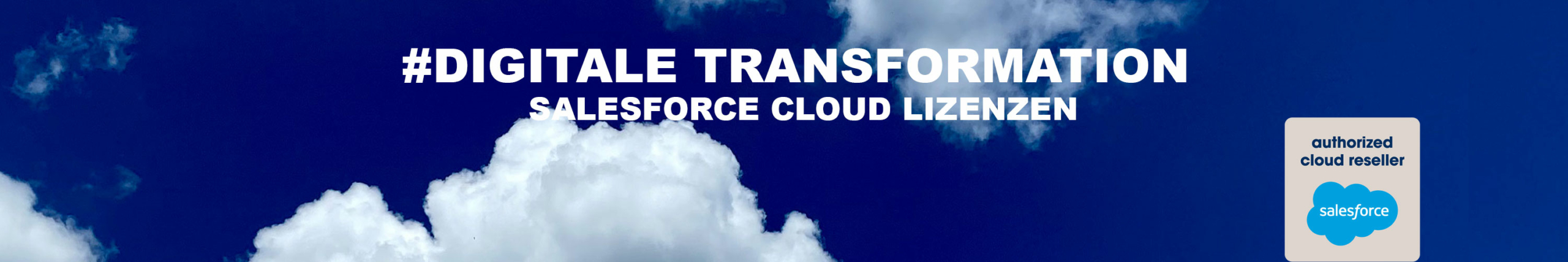 Salesforce Cloud Lizenzen